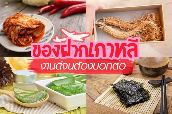 ของฝากเกาหลี