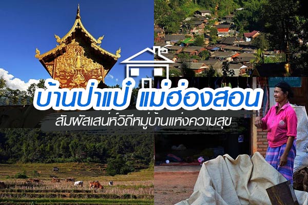 หมู่บ้านป่าแป๋ 