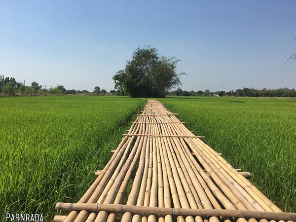 สะพานไม้ ภูกะเหรี่ยง