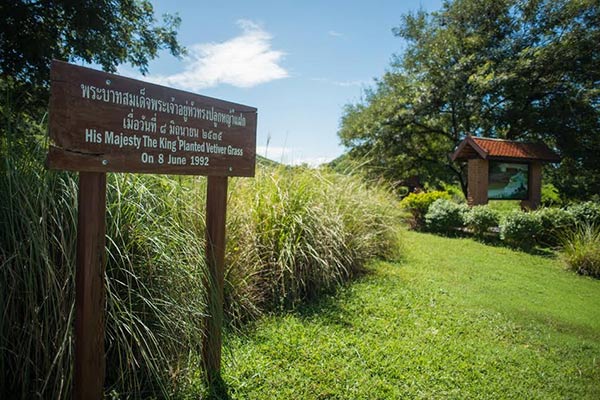 ตามรอยรัชกาลที่ 9