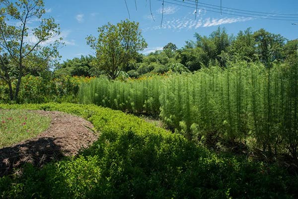 ตามรอยรัชกาลที่ 9