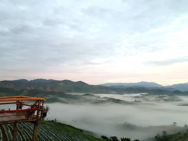 ดอยตีดู้ว์