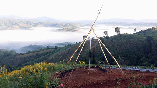 ดอยตีดู้ว์