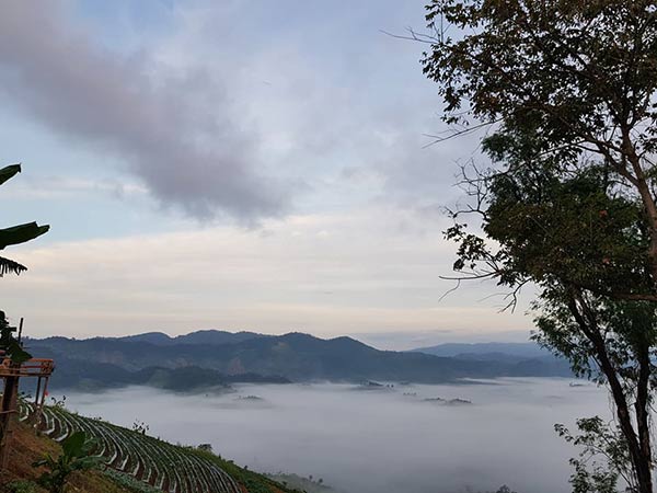 ดอยตีดู้ว์