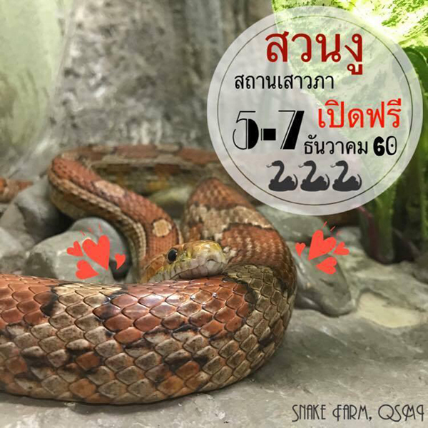 สวนงู