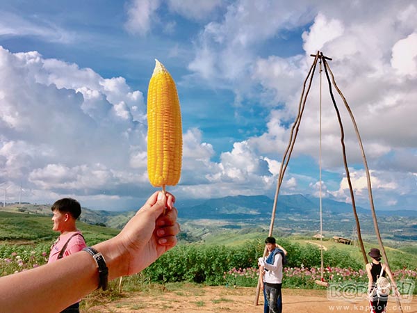 ทุ่งกังหันลม