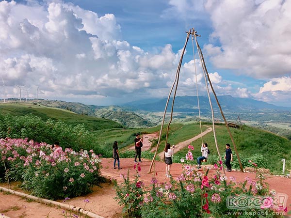 ทุ่งกังหันลม