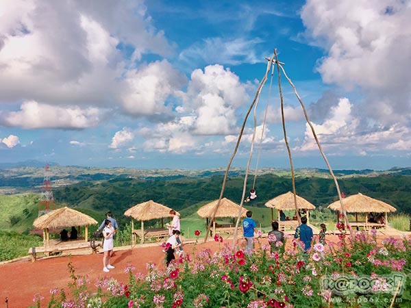 ทุ่งกังหันลม