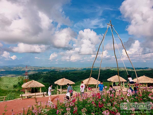 ทุ่งกังหันลม