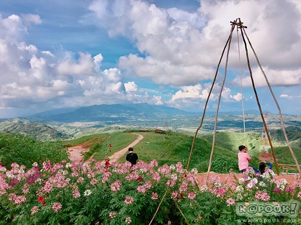 ทุ่งกังหันลม