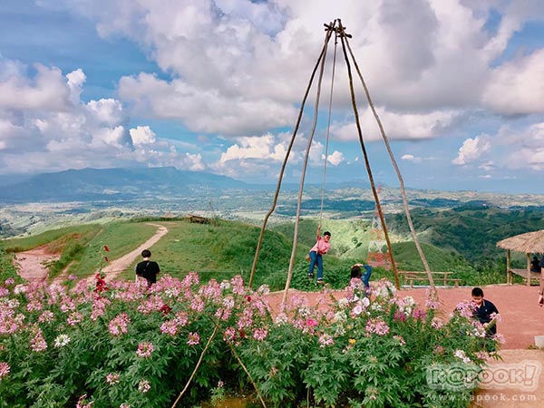 ทุ่งกังหันลม