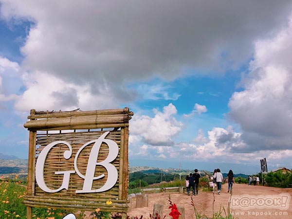 ทุ่งกังหันลม