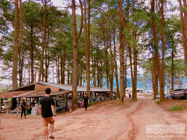 ทุ่งกังหันลม