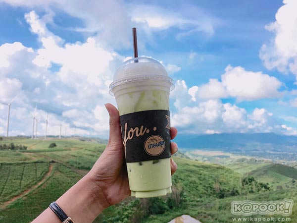 ทุ่งกังหันลม