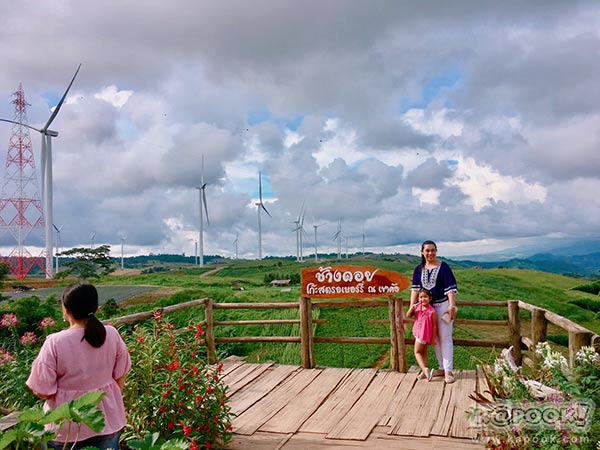 ทุ่งกังหันลม