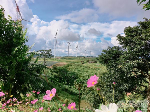 ทุ่งกังหันลม