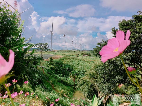 ทุ่งกังหันลม