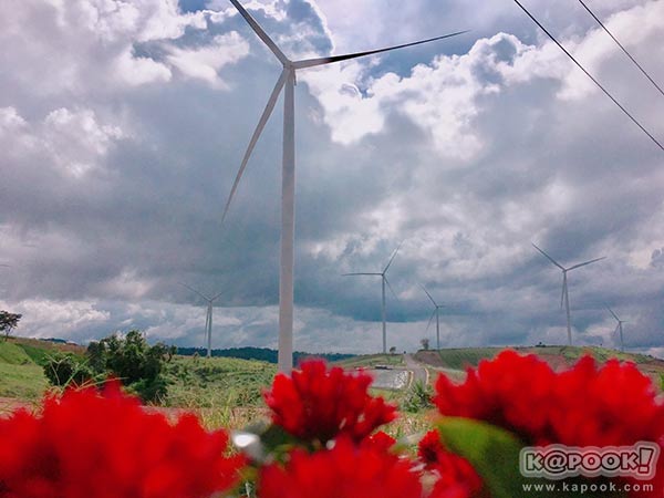 ทุ่งกังหันลม