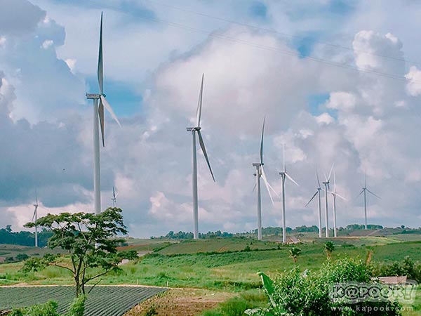 ทุ่งกังหันลม