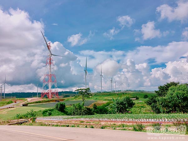 ทุ่งกังหันลม