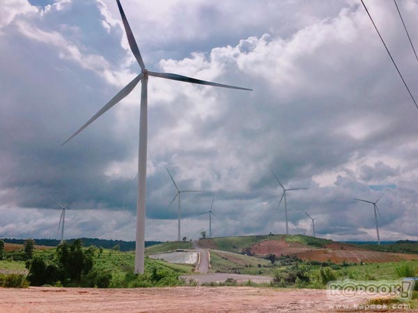 ทุ่งกังหันลม