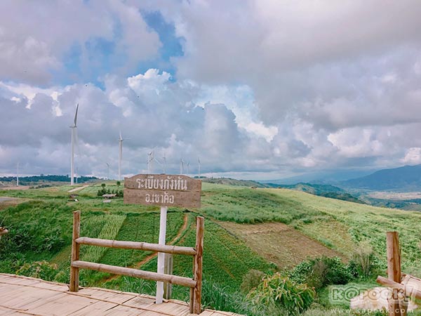 ทุ่งกังหันลม