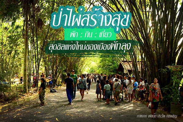 ป่าไผ่สร้างสุข พัทลุง