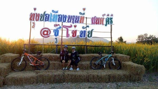 ทุ่งปอเทือง สุโขทัย