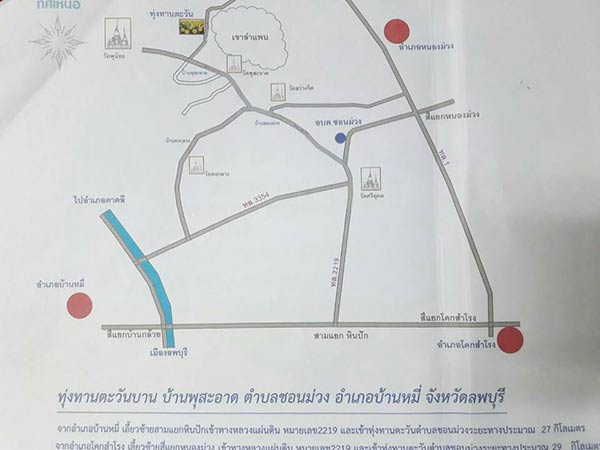 ทุ่งทานตะวันชอนม่วง