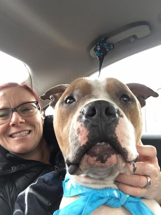 พิทบลูรักนายสุดใจ หลังเมตตารับมันมาเลี้ยงไว้ กอดแน่นไม่ยอมห่างเลย