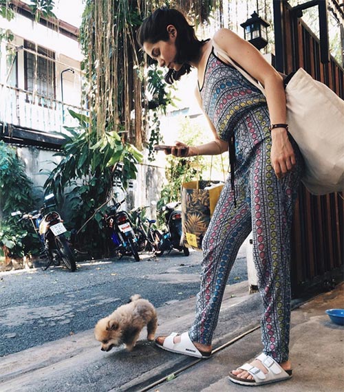 วี วิโอเลต