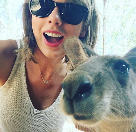 แว่นกันแดดดารา