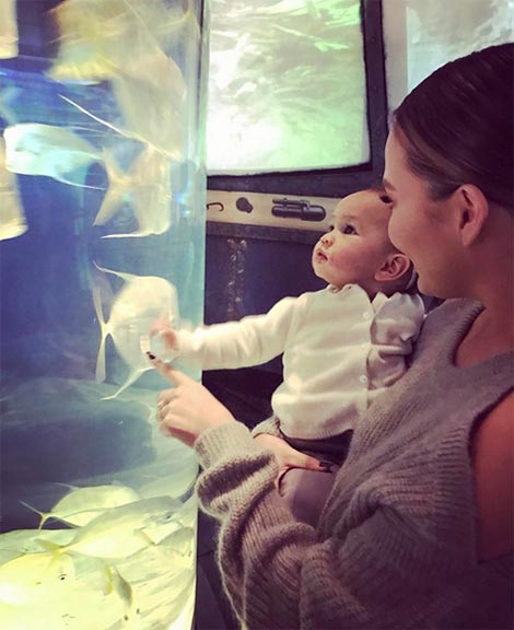 คริสซี่ ไทเกน