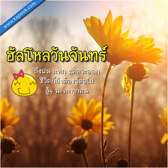 ดูดวงรายวัน