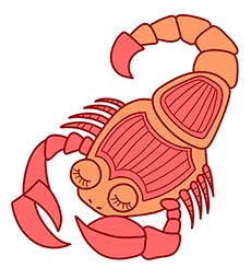 ดูดวงการเงิน