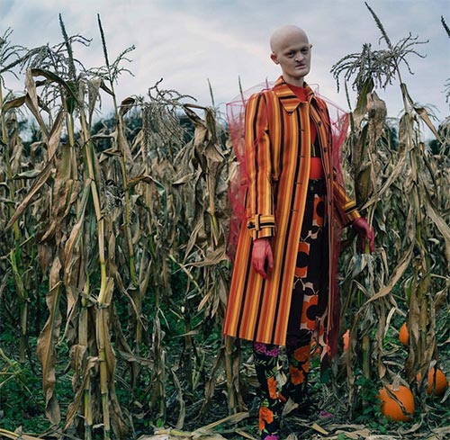 นางแบบสวยแปลก