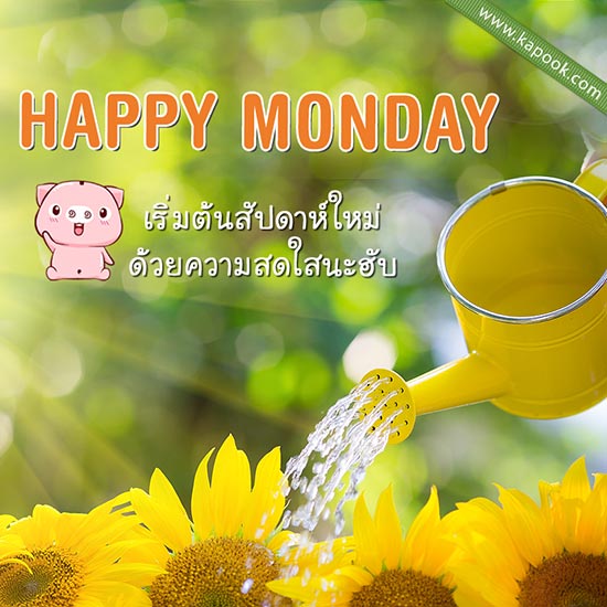 ดูดวงรายวัน