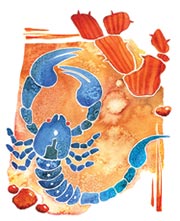 ดูดวงเดือนกรกฎาคม 2561