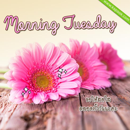 ดูดวงรายวัน