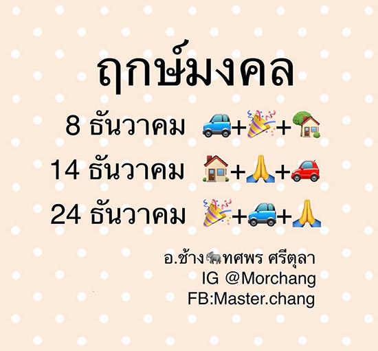 หมอช้าง