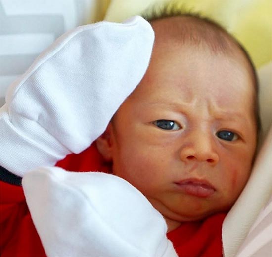 น้องสายฟ้า น้องพายุ