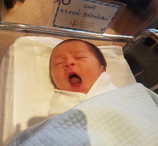 น้องสายฟ้า น้องพายุ