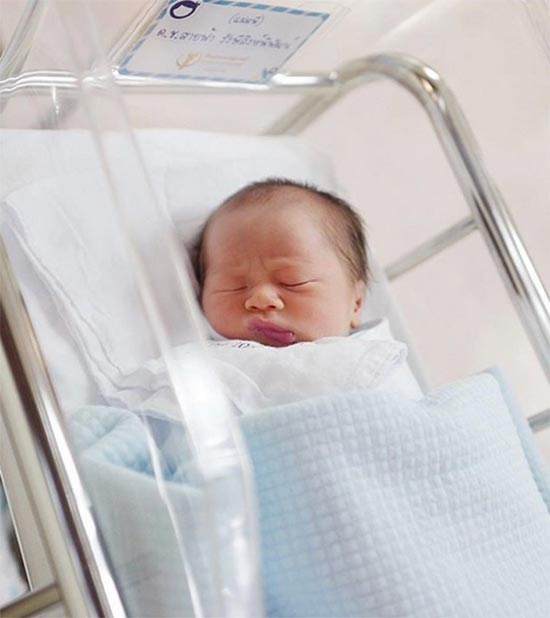 น้องสายฟ้า น้องพายุ