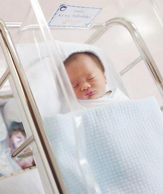 น้องสายฟ้า น้องพายุ