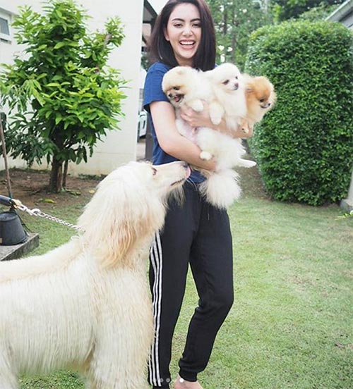 กางเกงแถบข้าง