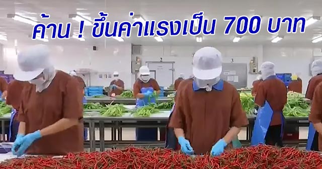 ขึ้นค่าแรง