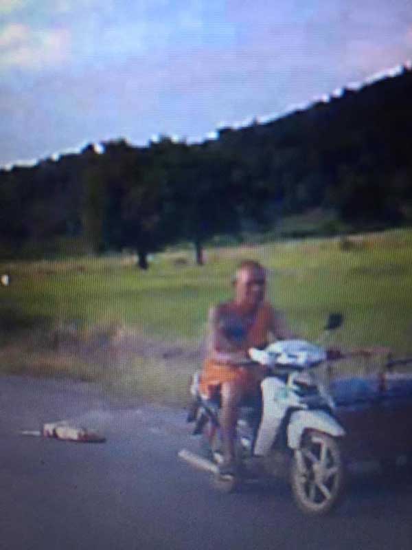 พระขี่รถลากหมา