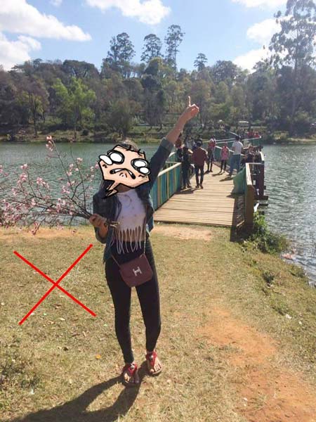 ดอยเหมย