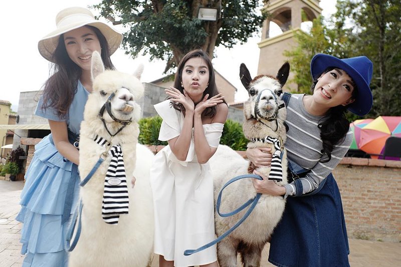 แพนเค้ก ใบเตย เฟี้ยวฟ้าว แท็กทีมเต้นปานามา