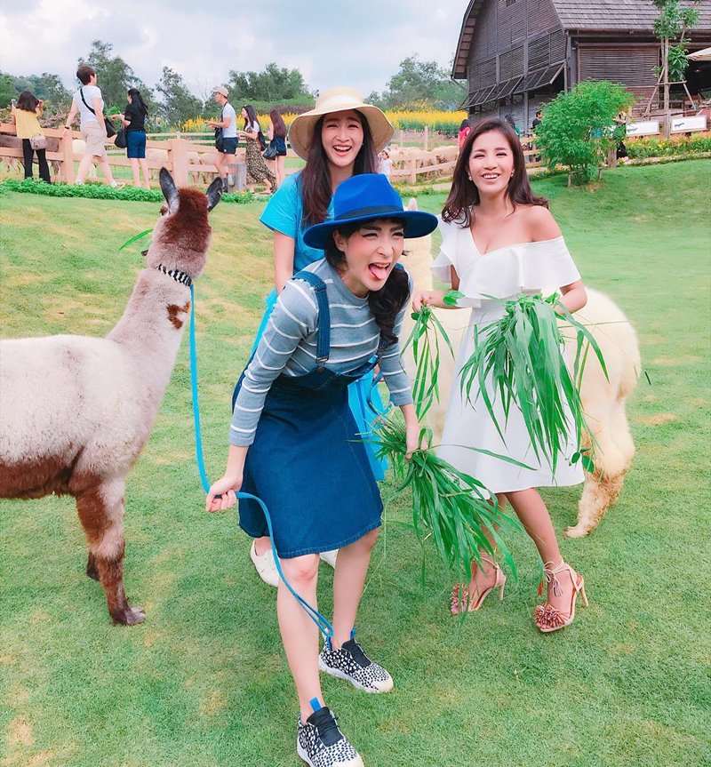 แพนเค้ก ใบเตย เฟี้ยวฟ้าว แท็กทีมเต้นปานามา